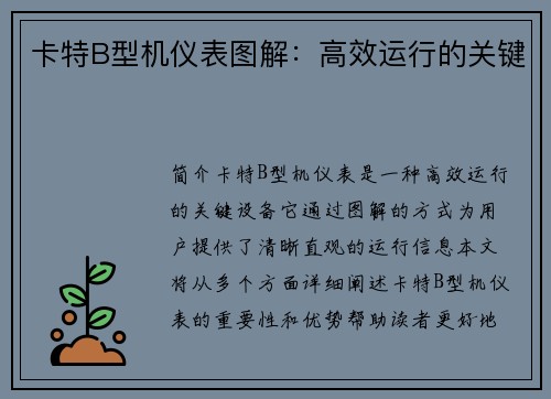卡特B型机仪表图解：高效运行的关键